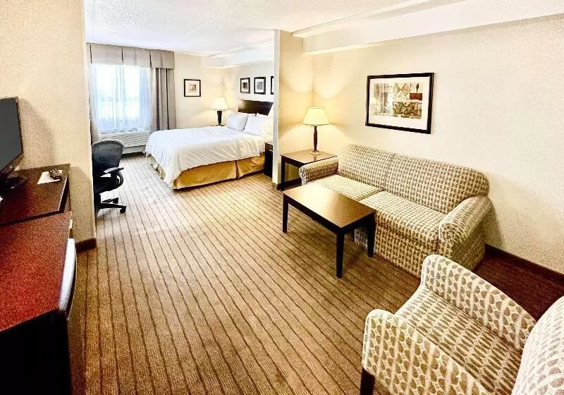 キングサイズベッドのスタンダードルーム, Comfort Inn & Suites