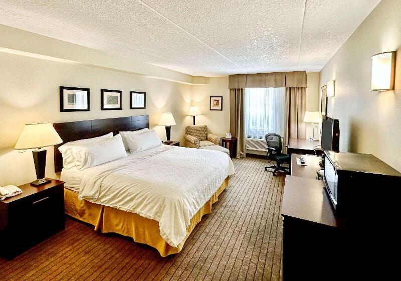 غرفة قياسية سرير كينج لذوى الإحتياجات الخاصة, Comfort Inn & Suites