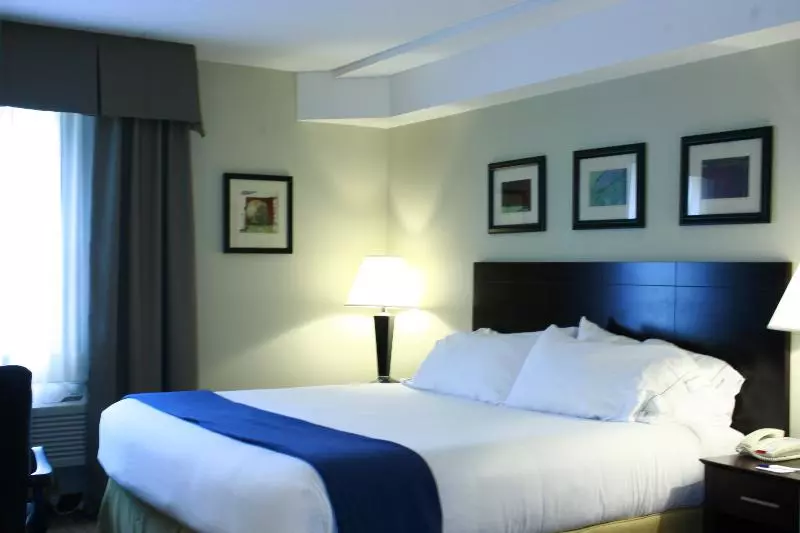 身障者適用キングサイズベッドルーム, Comfort Inn & Suites