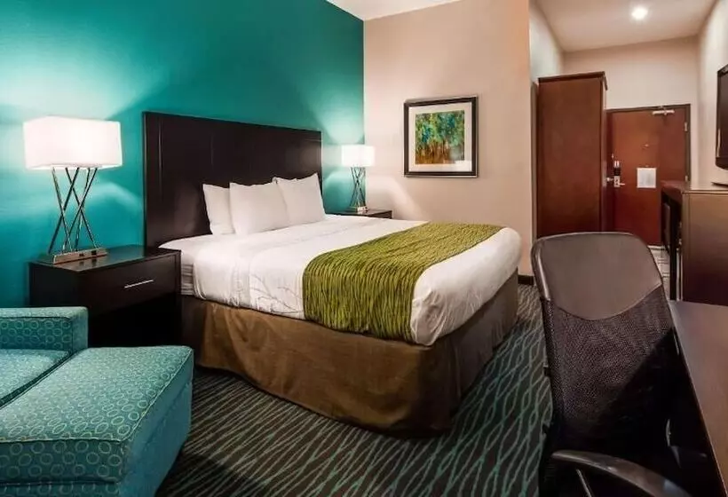 スタンダードルーム, Ramada By Wyndham Burkburnett / Wichita Falls