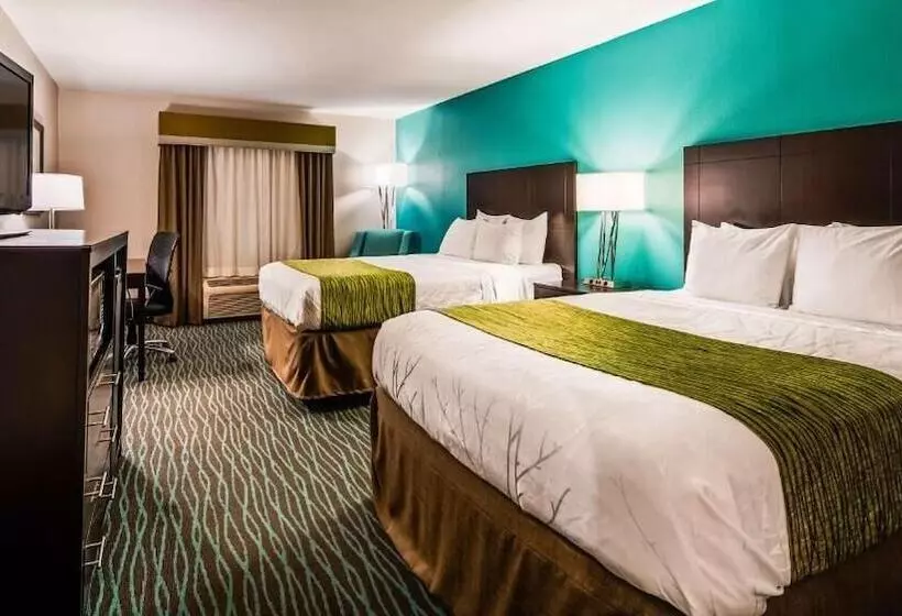 スタンダードルーム, Ramada By Wyndham Burkburnett / Wichita Falls
