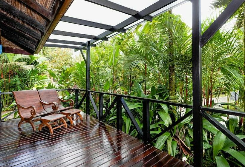 غرفة ديلوكس سرير ملكى, Hideaway Rio Celeste