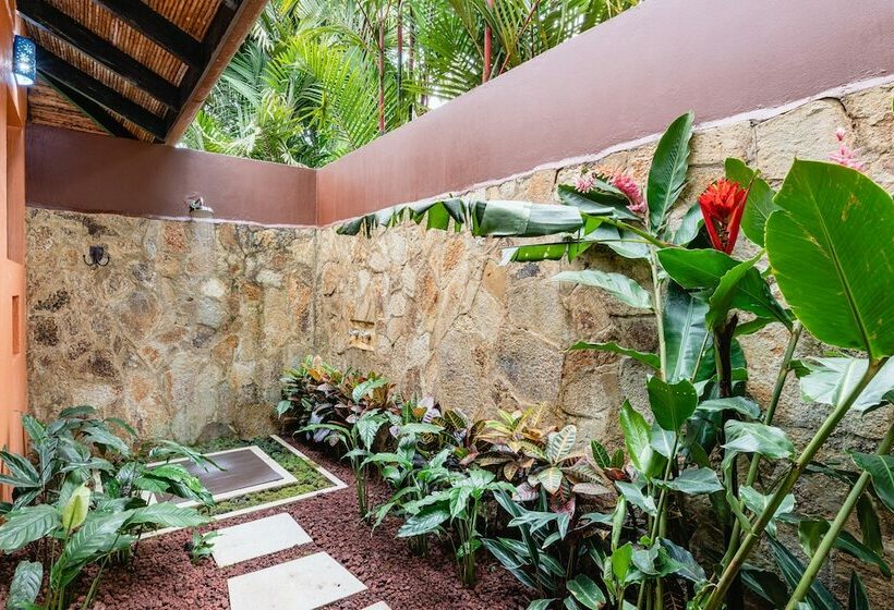 غرفة ديلوكس سرير ملكى, Hideaway Rio Celeste