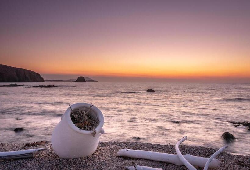 Номер Deluxe, Tania Milos