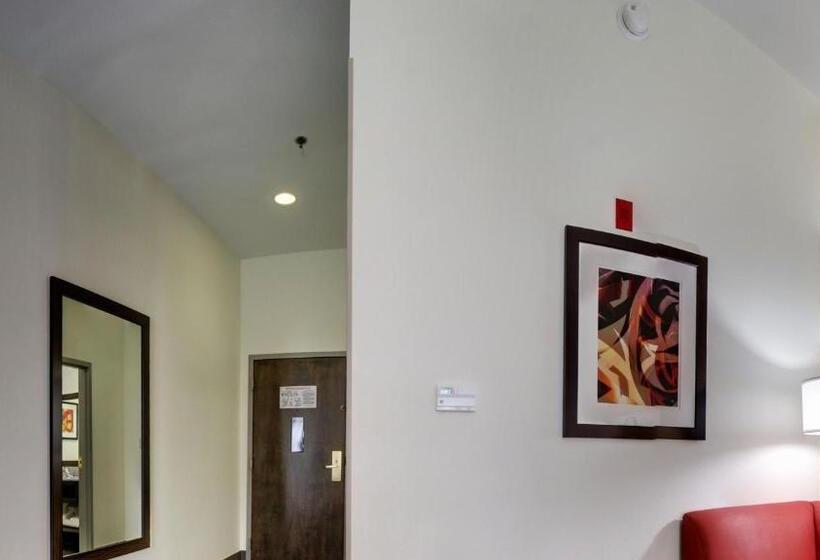 غرفة قياسية سرير كينج لذوى الإحتياجات الخاصة, La Quinta Inn & Suites By Wyndham Meridian