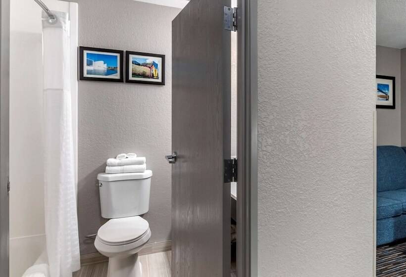 غرفة قياسية, Comfort Inn & Suites