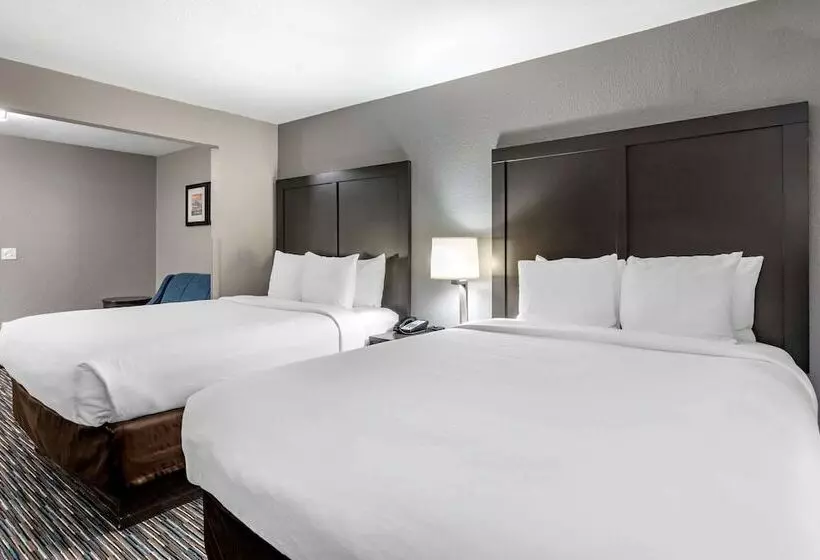 スタンダードルーム, Comfort Inn & Suites