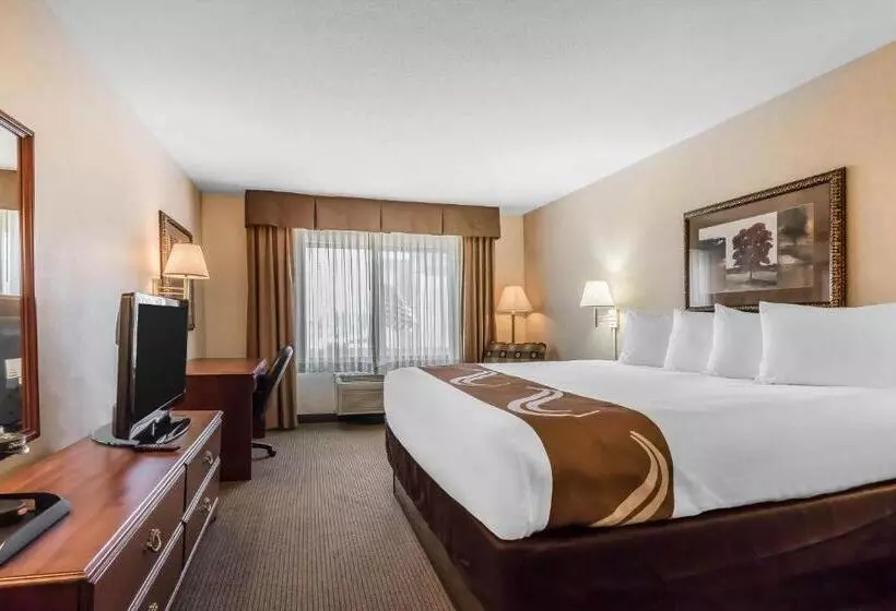 キングサイズベッドのスタンダードルーム, Comfort Inn & Suites