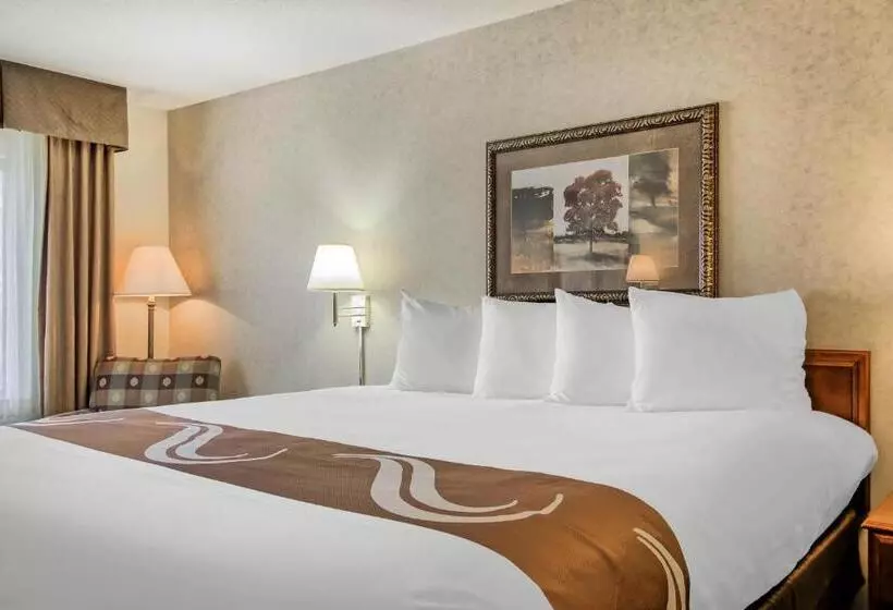 キングサイズベッドのスタンダードルーム, Comfort Inn & Suites
