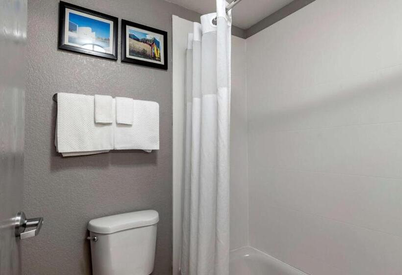 غرفة قياسية سرير كينج, Comfort Inn & Suites