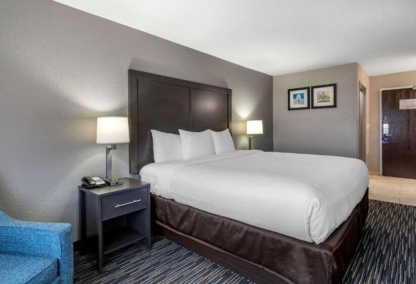 스탠다드 룸 킹사이즈 침대, Comfort Inn & Suites