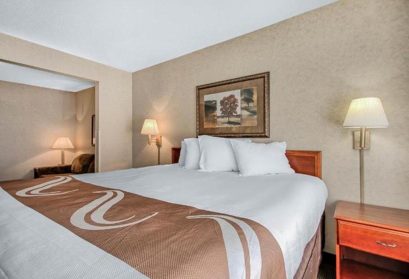 غرفة قياسية سرير كينج, Comfort Inn & Suites