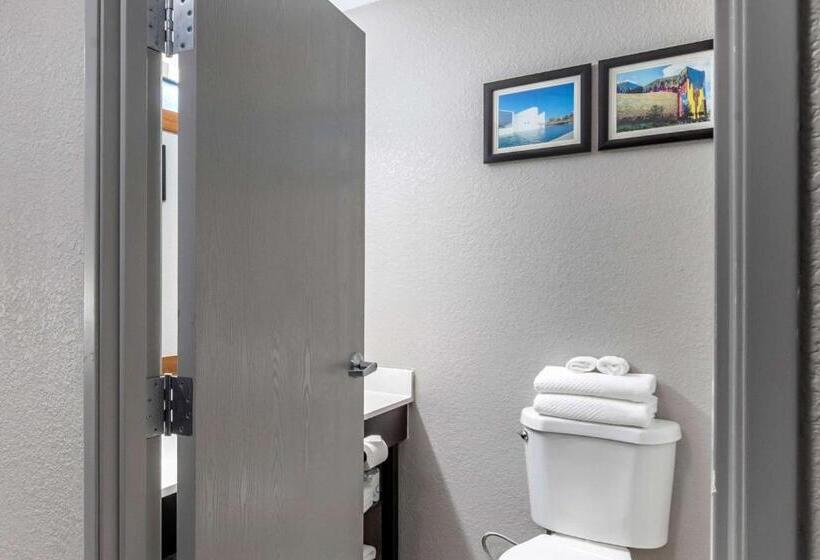 غرفة قياسية سرير كينج, Comfort Inn & Suites