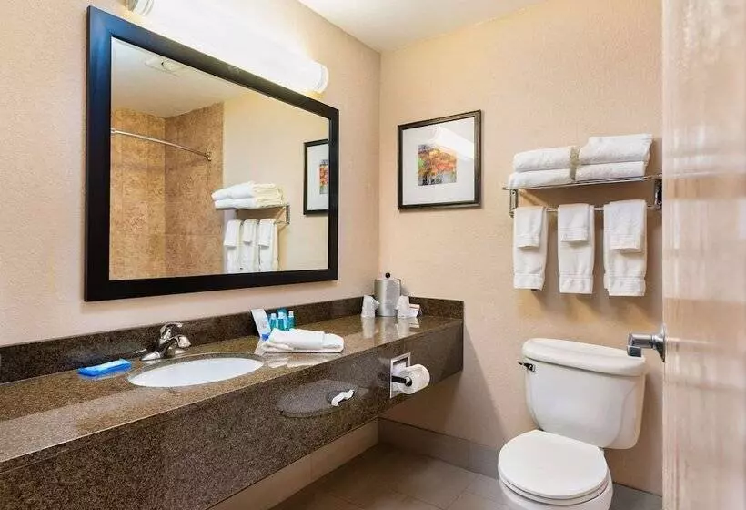 スイート, Country Inn & Suites By Radisson, South Haven, Mi