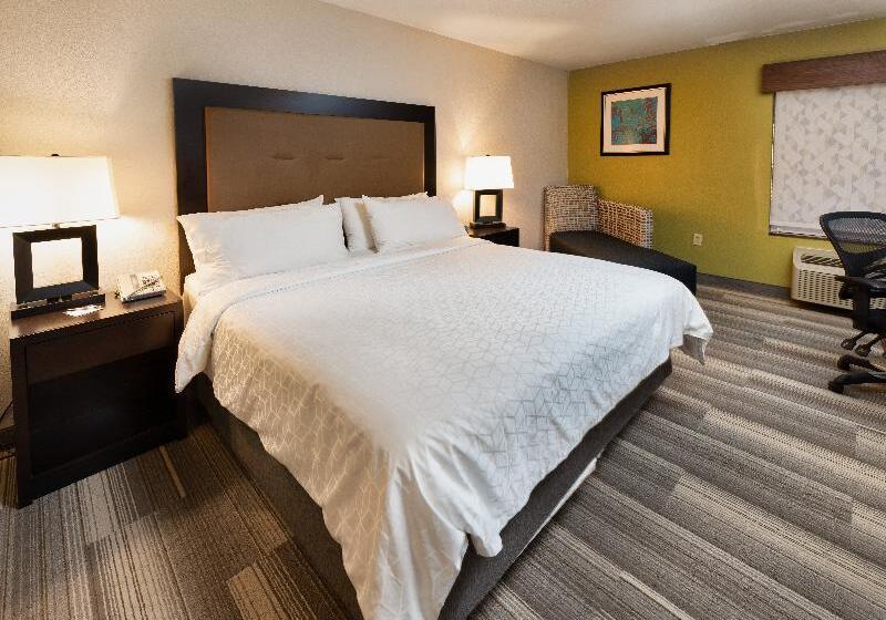 غرفة قياسية سرير كينج, Country Inn & Suites By Radisson, South Haven, Mi