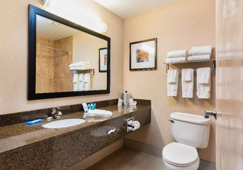 キングサイズベッドのエクゼクティブ, Country Inn & Suites By Radisson, South Haven, Mi