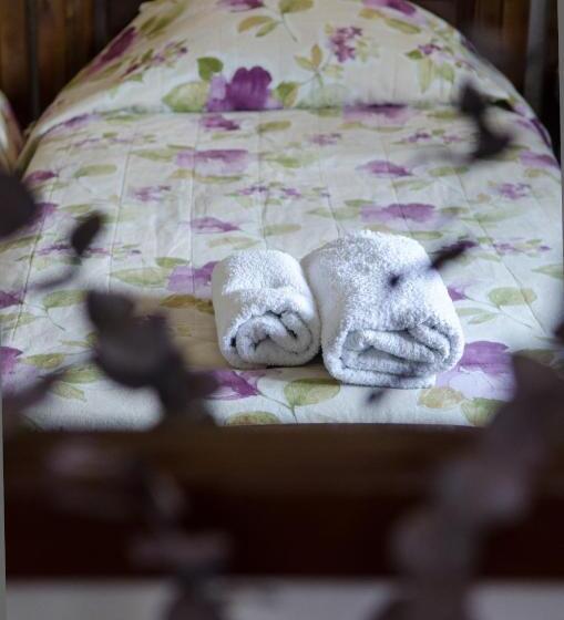 اتاق اکونومی, Elli