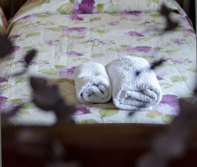 اتاق اکونومی, Elli