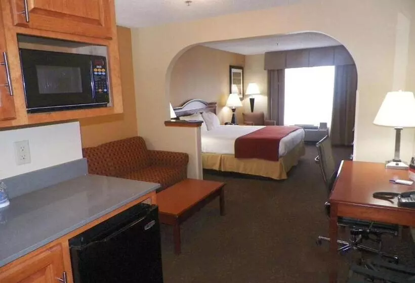 キングサイズベッドのスイートルーム, Holiday Inn Express Hotel & Suites Forest, An Ihg