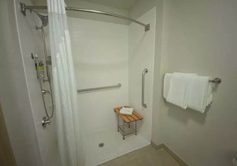 اتاق استاندارد با تخت بزرگ, Holiday Inn Express Hotel & Suites  Gadsden, An Ihg
