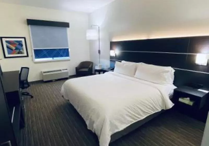 اتاق استاندارد با تخت بزرگ, Holiday Inn Express Hotel & Suites  Gadsden, An Ihg