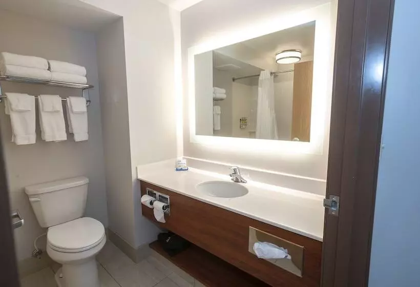スイート, Holiday Inn Express & Suites Iron Mountain, An Ihg