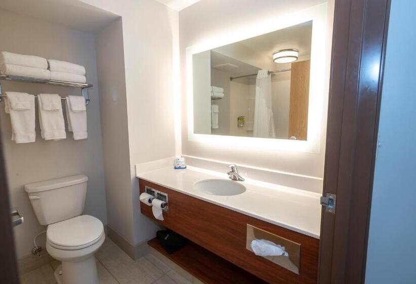 מיטת קינג בסוויטה, Holiday Inn Express & Suites Iron Mountain, An Ihg