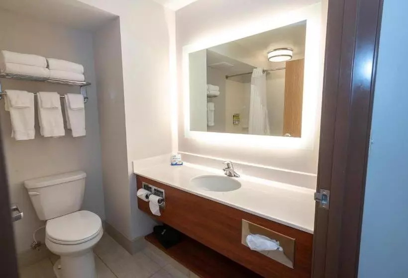 キングサイズベッドのスイートルーム, Holiday Inn Express & Suites Iron Mountain, An Ihg