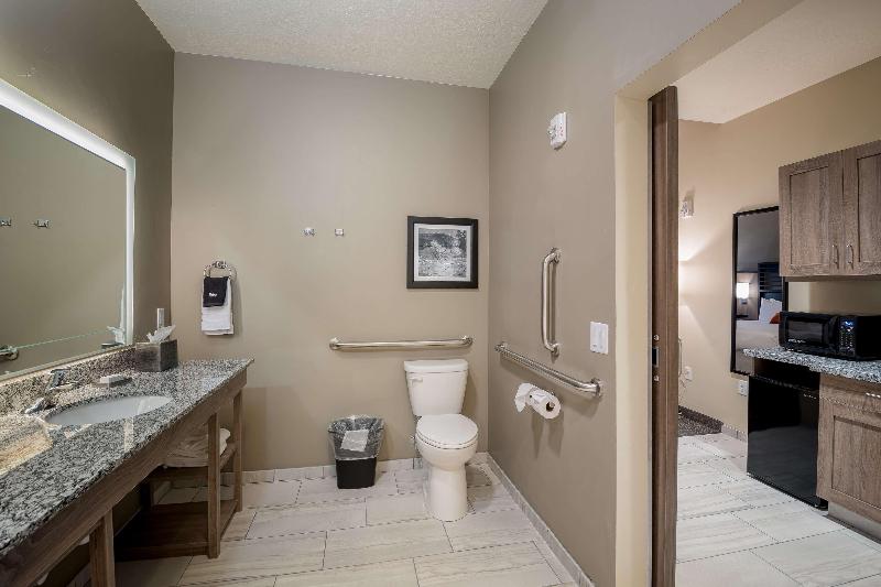 جناح سرير كينج, Holiday Inn Express Hotel & Suites Maryville, An Ihg