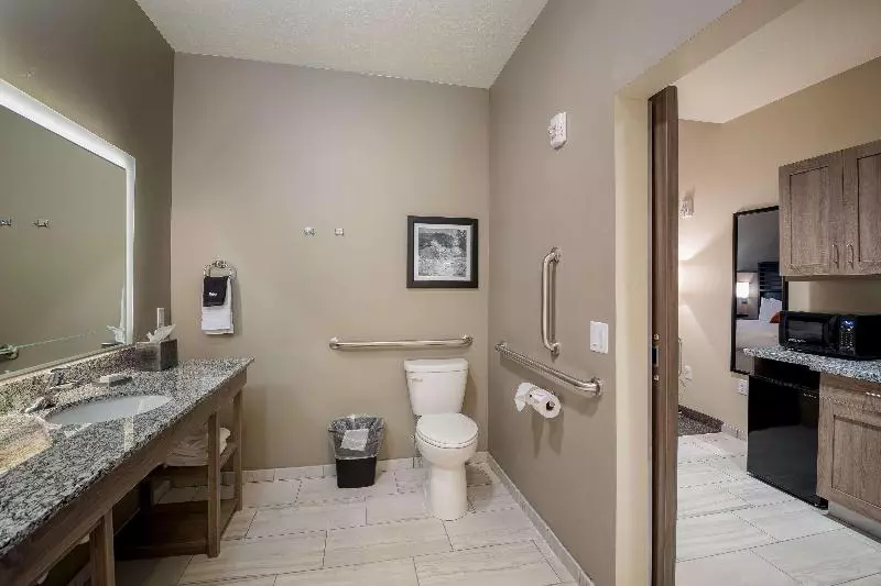 キングサイズベッドのスイートルーム, Holiday Inn Express Hotel & Suites Maryville, An Ihg