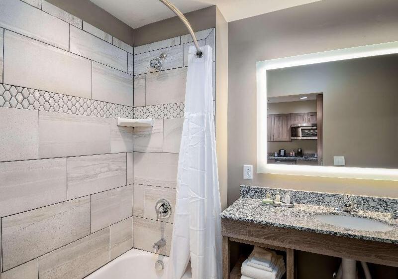 스위트 킹사이즈 침대, Holiday Inn Express Hotel & Suites Maryville, An Ihg