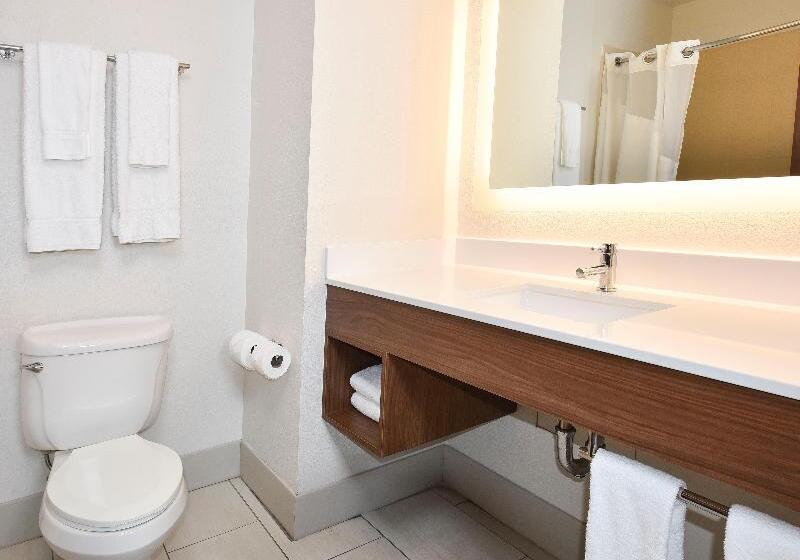 جناح, Holiday Inn Express Hotel & Suites Selma, An Ihg