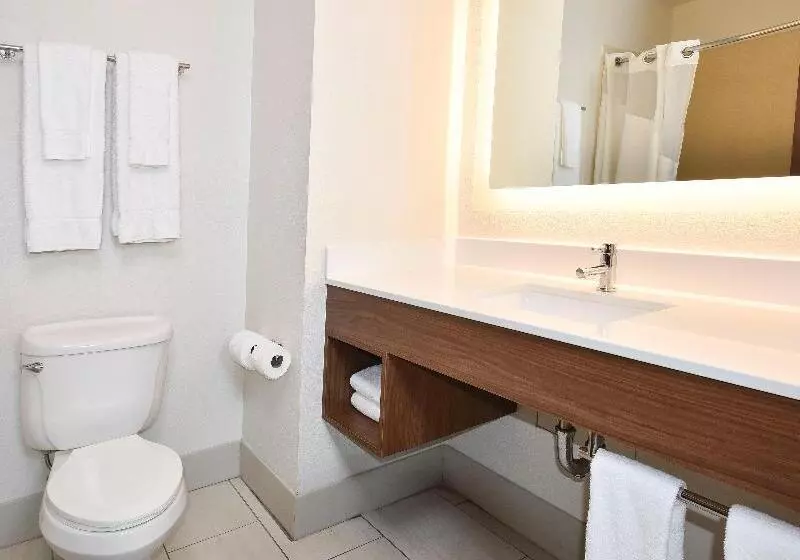 スイート, Holiday Inn Express Hotel & Suites Selma, An Ihg