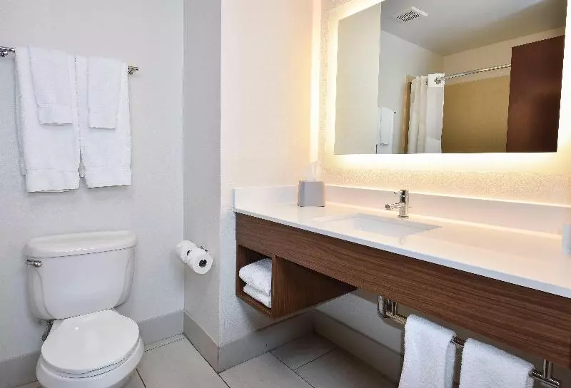 スイート, Holiday Inn Express Hotel & Suites Selma, An Ihg