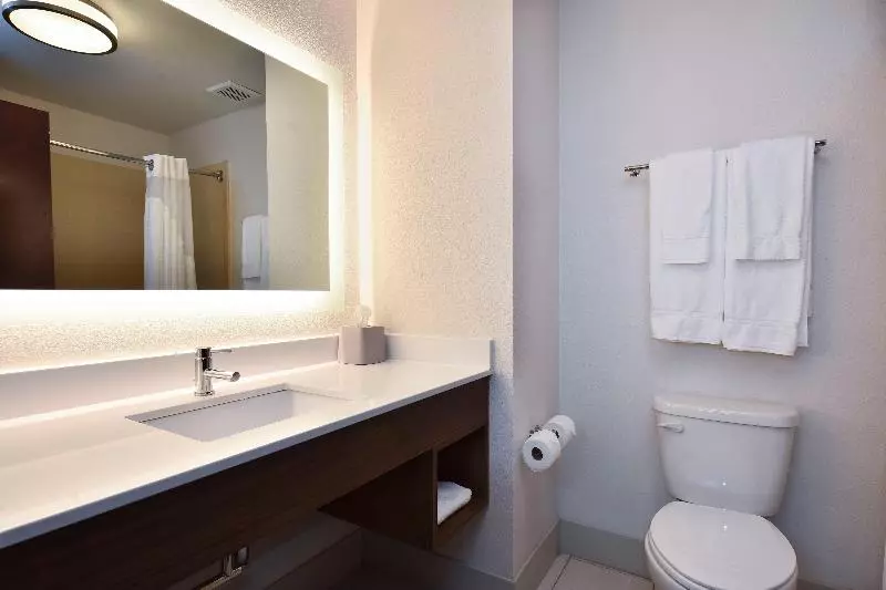 スイート, Holiday Inn Express Hotel & Suites Selma, An Ihg