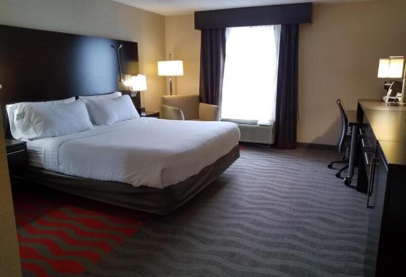 Стандартный Номер Кровать Кинг, Holiday Inn Express Hotel & Suites Waterford, An Ihg