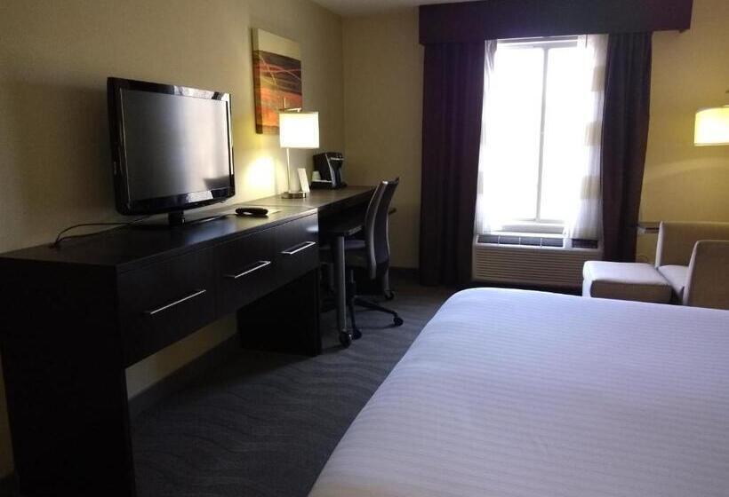 חדר סטנדרט עם מיטת קינג, Holiday Inn Express Hotel & Suites Waterford, An Ihg