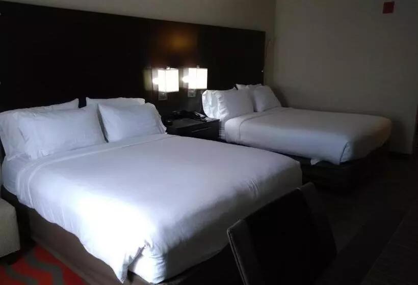スタンダードルーム, Holiday Inn Express Hotel & Suites Waterford, An Ihg