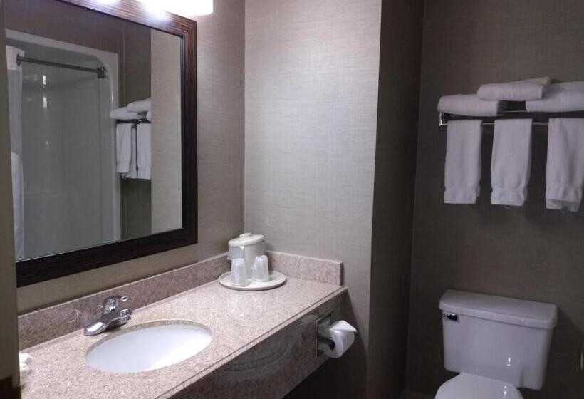 מיטת קינג בסוויטה, Holiday Inn Express Hotel & Suites Waterford, An Ihg