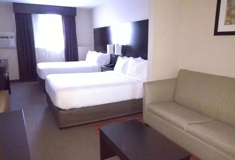 スイート, Holiday Inn Express Hotel & Suites Waterford, An Ihg