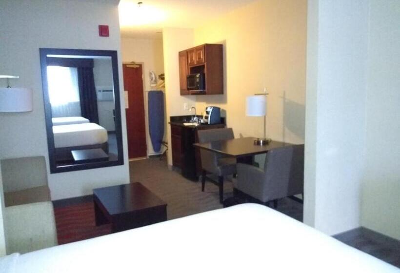 Люкс, Holiday Inn Express Hotel & Suites Waterford, An Ihg