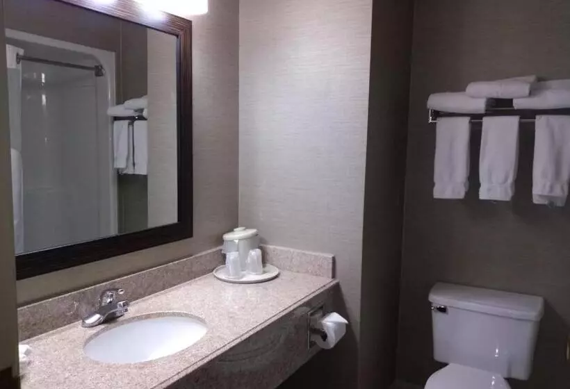 スイート, Holiday Inn Express Hotel & Suites Waterford, An Ihg