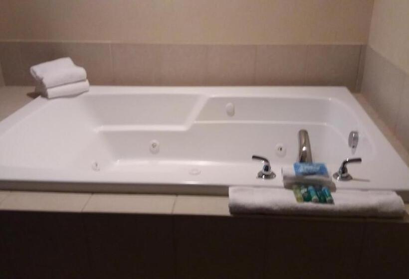 חדר סטנדרט עם מיטת קינג, Holiday Inn Express Hotel & Suites Waterford, An Ihg