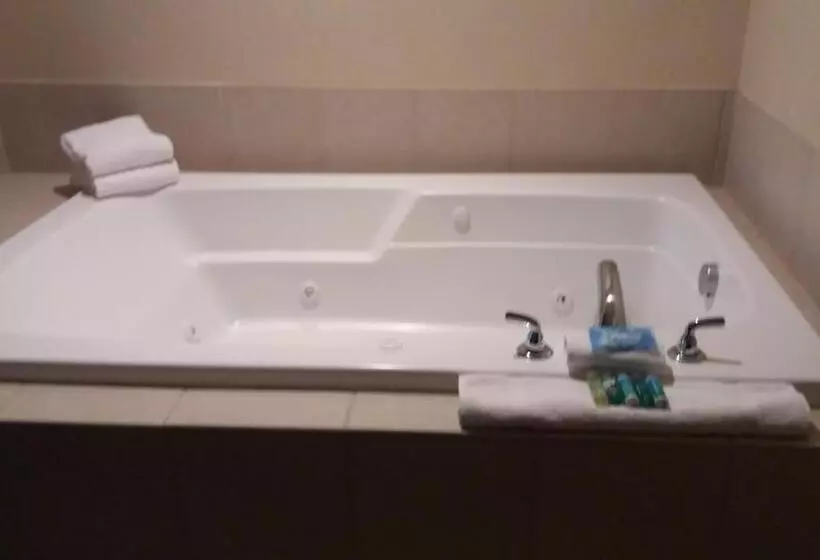 キングサイズベッドのスタンダードルーム, Holiday Inn Express Hotel & Suites Waterford, An Ihg
