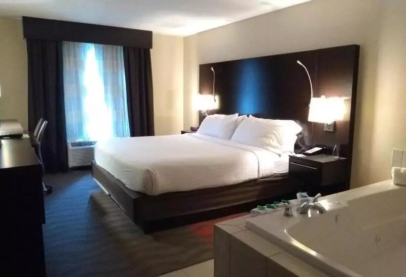 キングサイズベッドのスタンダードルーム, Holiday Inn Express Hotel & Suites Waterford, An Ihg