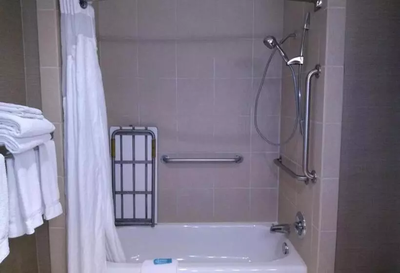 身障者適用スイートルーム, Holiday Inn Express Hotel & Suites Waterford, An Ihg