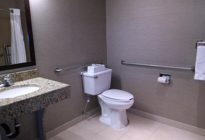 סוויטה מותאמת לאדם עם מוגבלויות, Holiday Inn Express Hotel & Suites Waterford, An Ihg