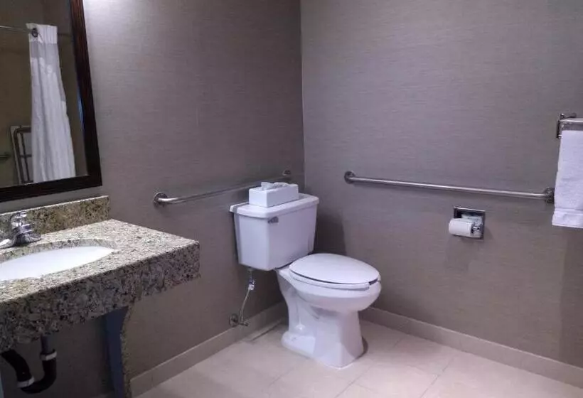 身障者適用スイートルーム, Holiday Inn Express Hotel & Suites Waterford, An Ihg