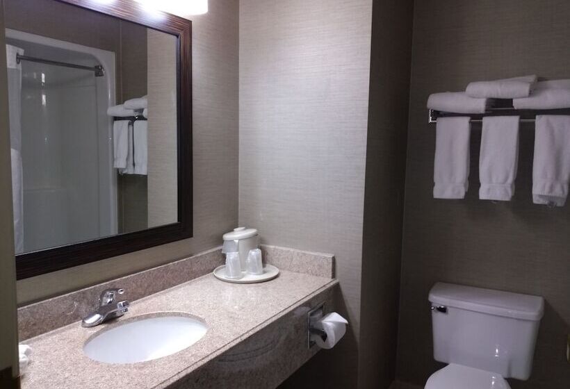 סוויטה, Holiday Inn Express Hotel & Suites Waterford, An Ihg