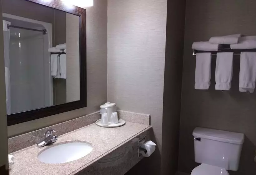 スイート, Holiday Inn Express Hotel & Suites Waterford, An Ihg